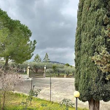 Giardino Siciliano *