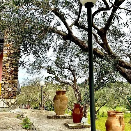 Giardino Siciliano Villa *