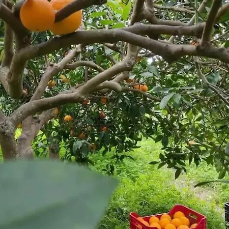 Giardino Siciliano * Castellammare del Golfo